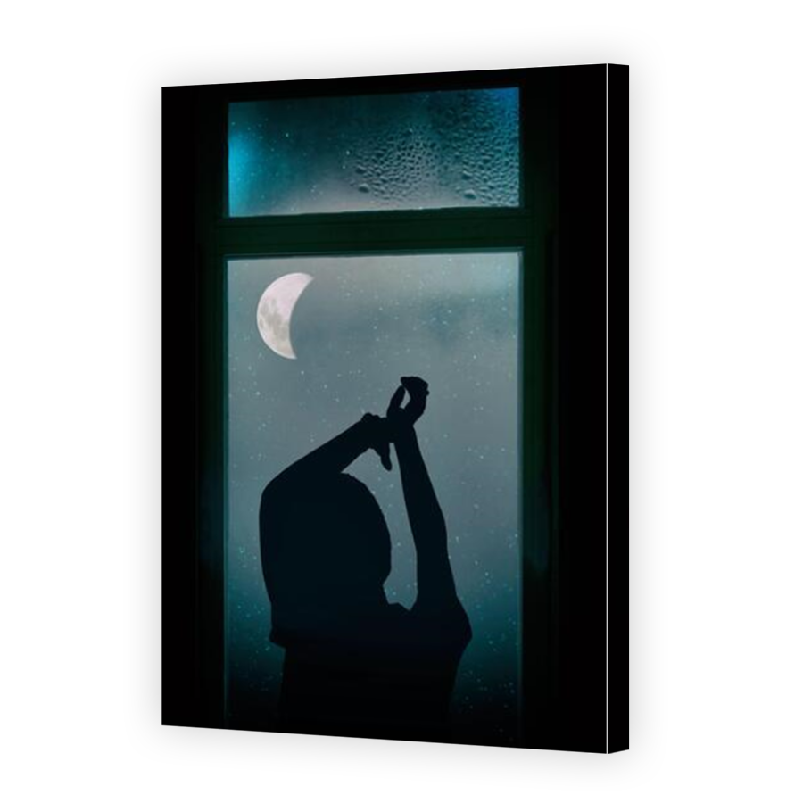 Thumbnail for Canvas - Mirror Image Canvas Wrap