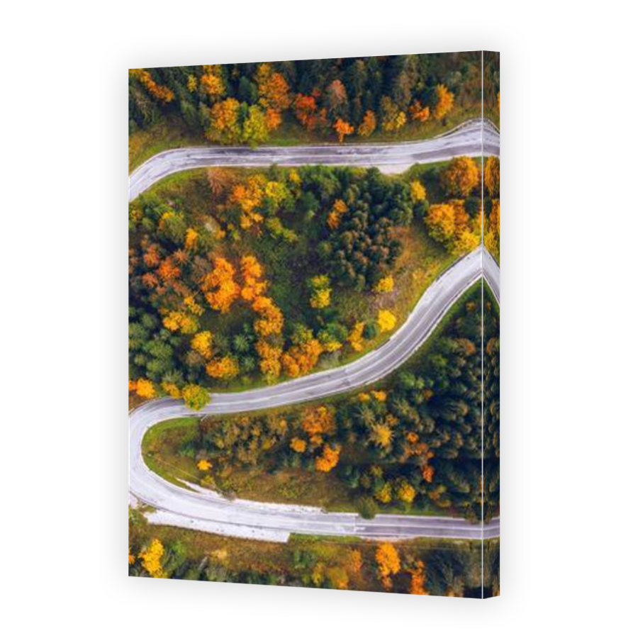 Thumbnail for Canvas - Mirror Image Canvas Wrap