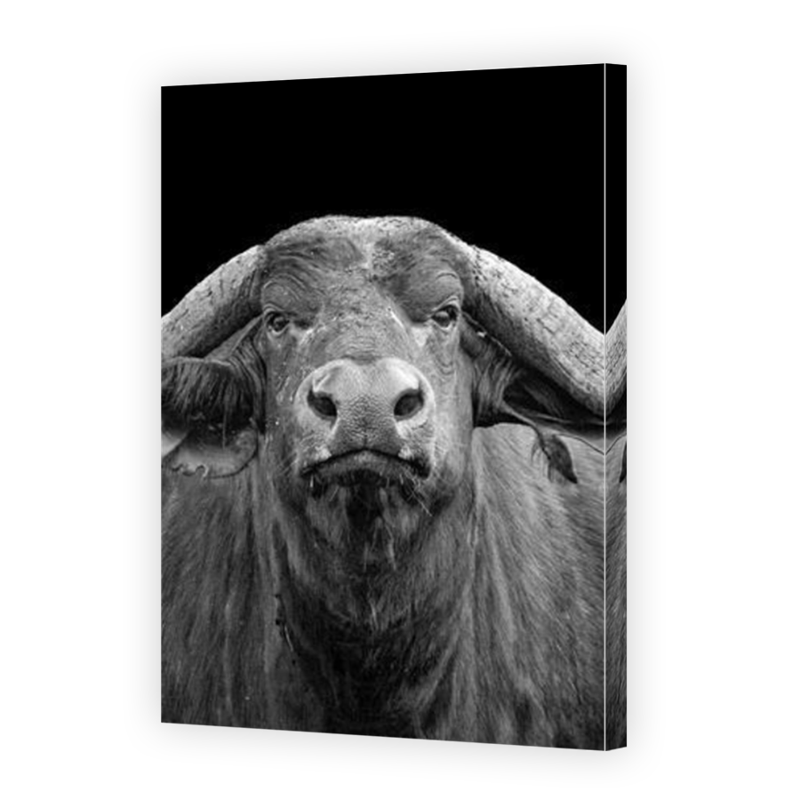 Thumbnail for Canvas - Mirror Image Canvas Wrap