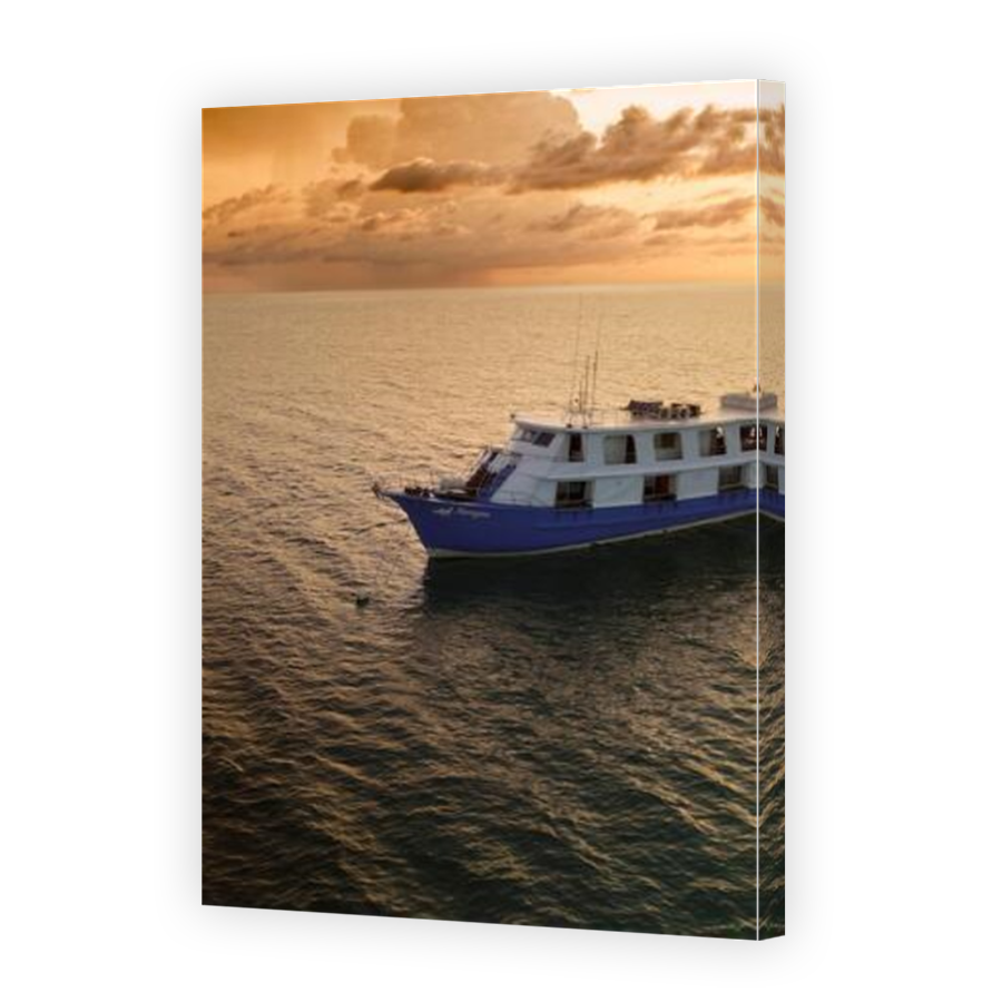 Thumbnail for Canvas - Mirror Image Canvas Wrap