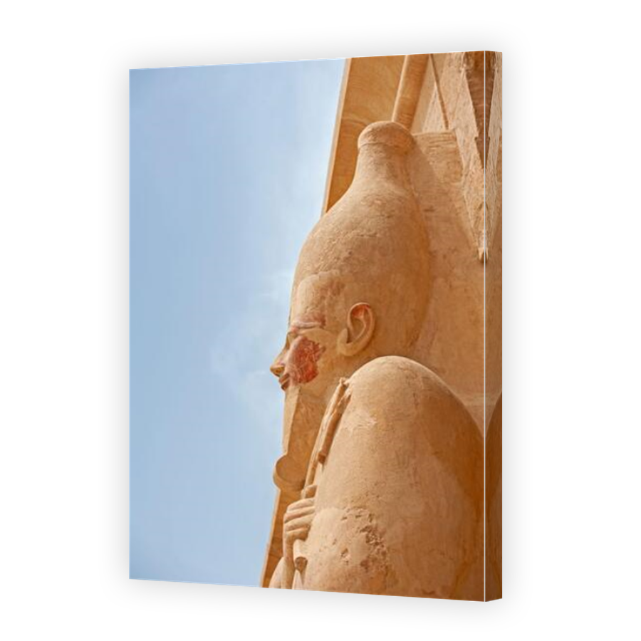 Thumbnail for Canvas - Mirror Image Canvas Wrap