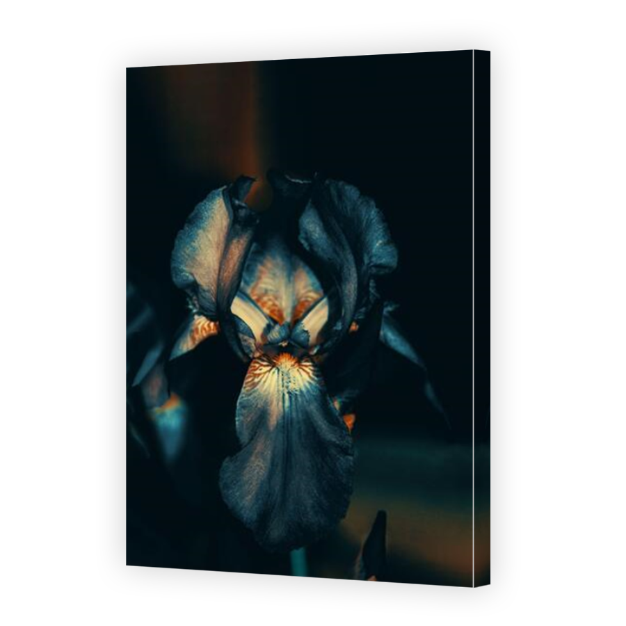 Thumbnail for Canvas - Mirror Image Canvas Wrap
