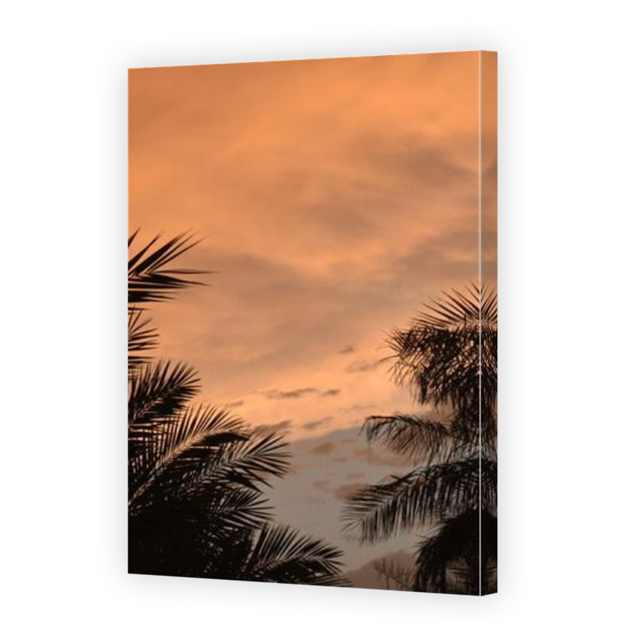 Thumbnail for Canvas - Mirror Image Canvas Wrap