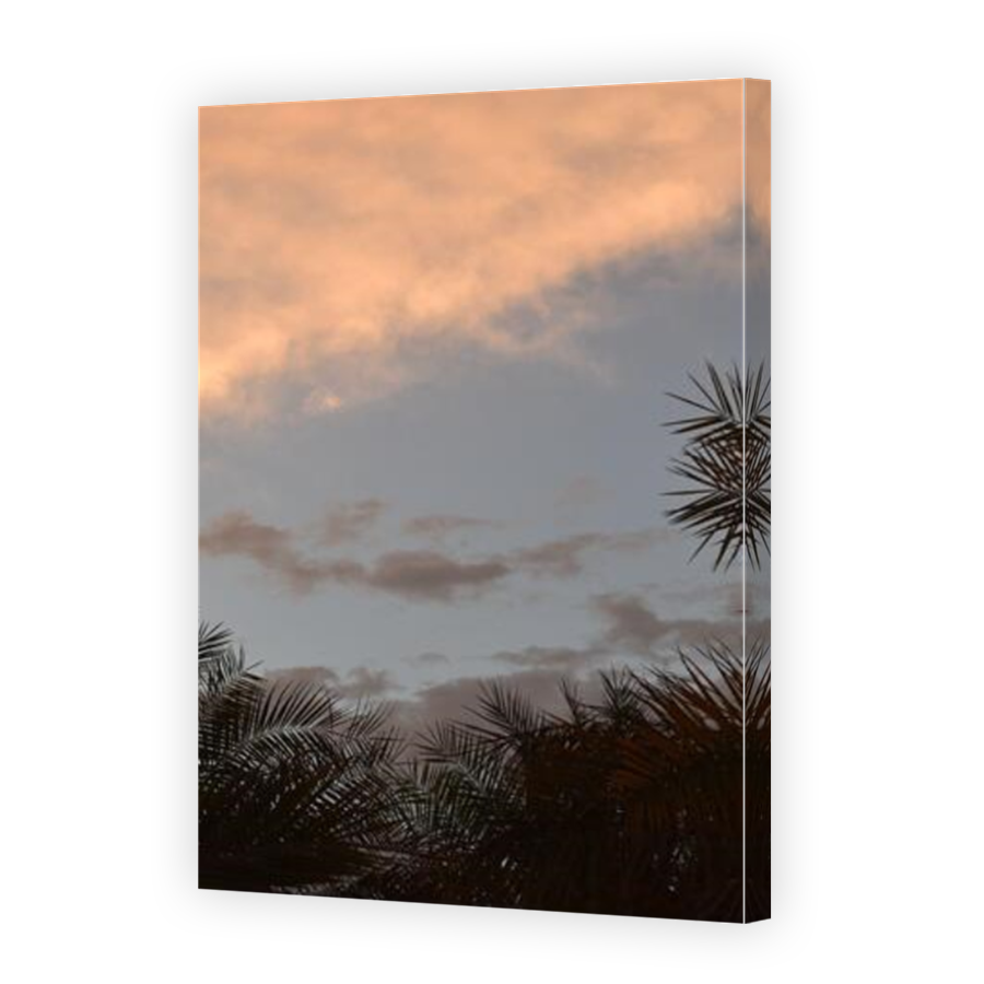 Thumbnail for Canvas - Mirror Image Canvas Wrap