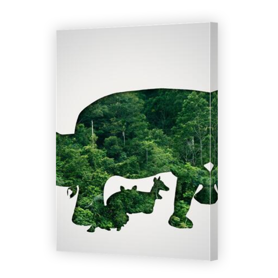Thumbnail for Canvas - Mirror Image Canvas Wrap