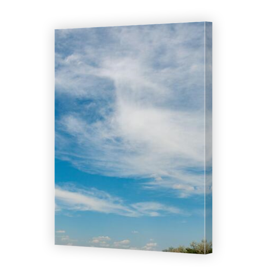 Thumbnail for Canvas - Mirror Image Canvas Wrap