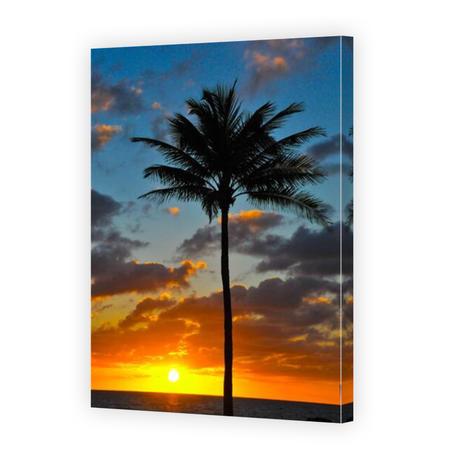 Thumbnail for Canvas - Mirror Image Canvas Wrap