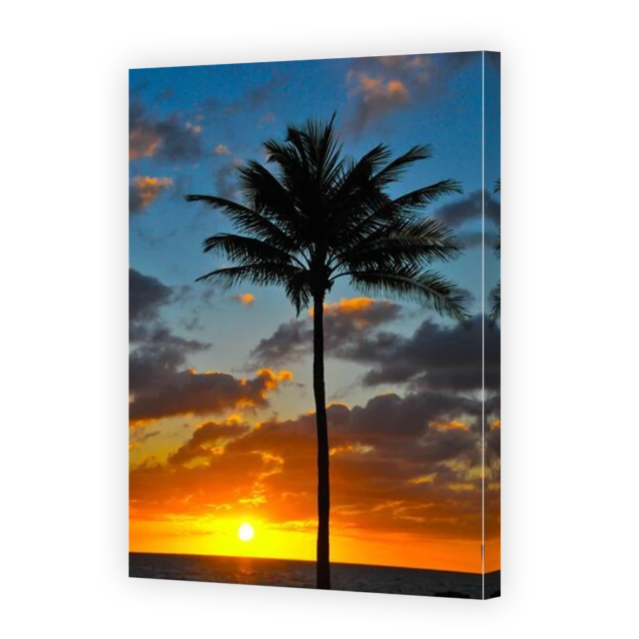 Thumbnail for Canvas - Mirror Image Canvas Wrap
