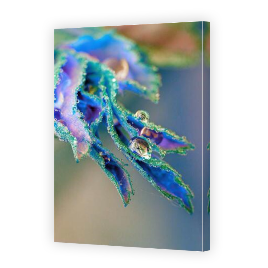 Thumbnail for Canvas - Mirror Image Canvas Wrap