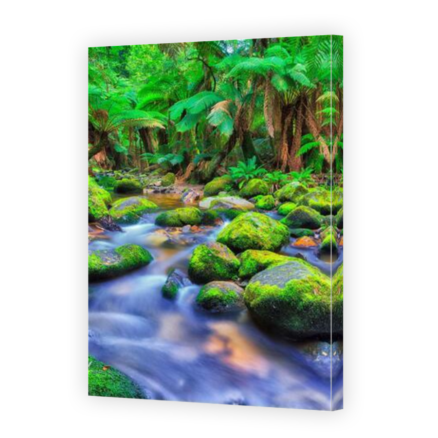 Thumbnail for Canvas - Mirror Image Canvas Wrap