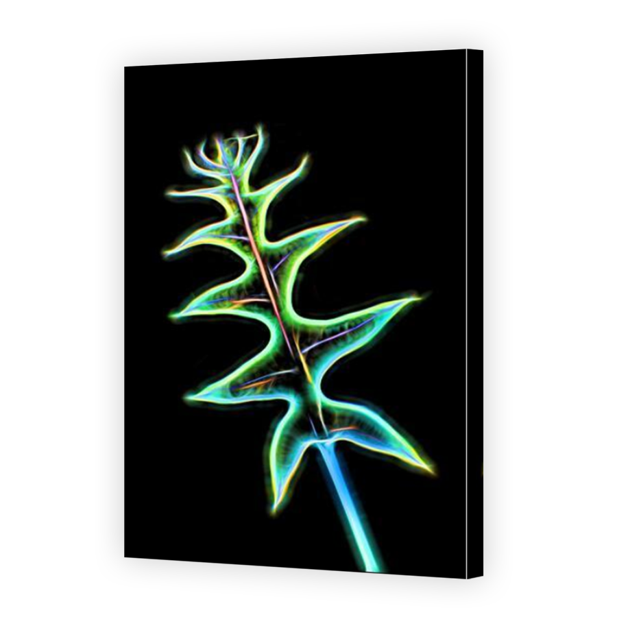 Thumbnail for Canvas - Mirror Image Canvas Wrap