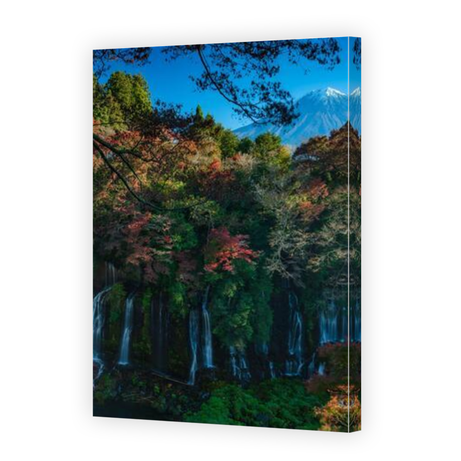 Thumbnail for Canvas - Mirror Image Canvas Wrap