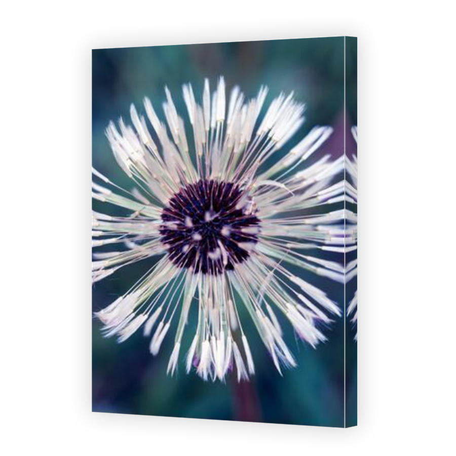 Thumbnail for Canvas - Mirror Image Canvas Wrap