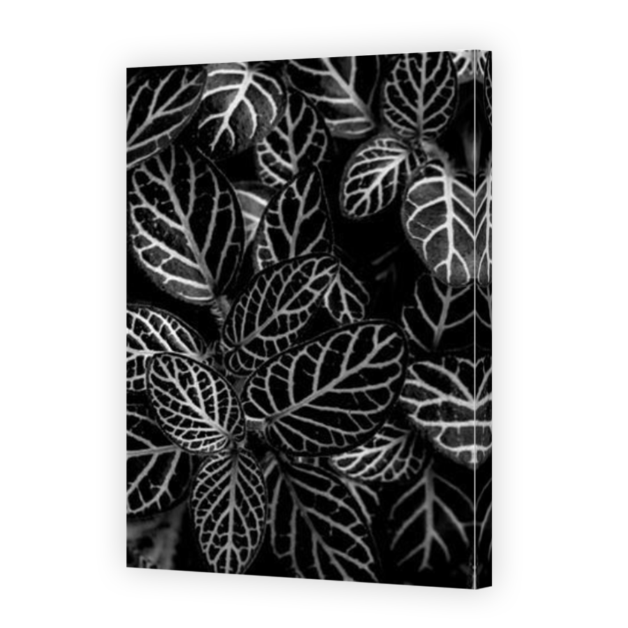 Thumbnail for Canvas - Mirror Image Canvas Wrap