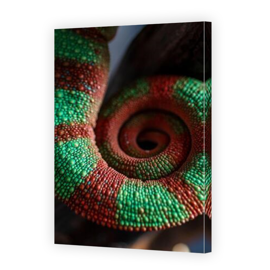Thumbnail for Canvas - Mirror Image Canvas Wrap