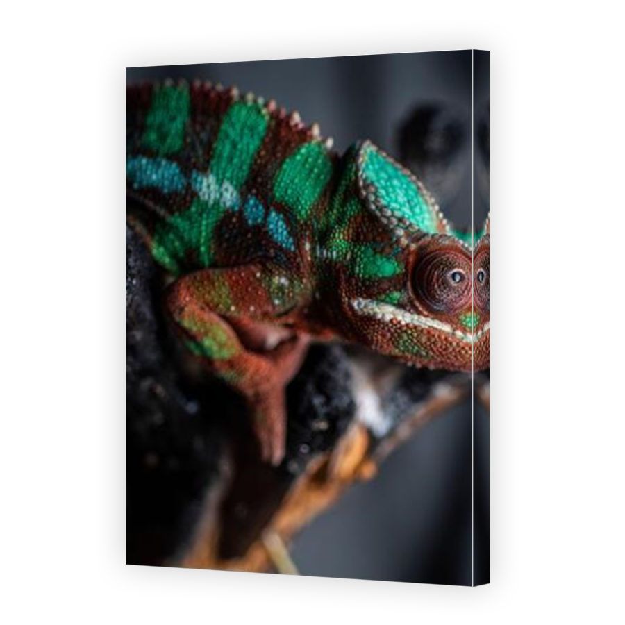 Thumbnail for Canvas - Mirror Image Canvas Wrap