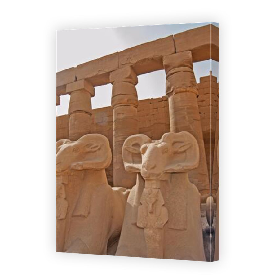 Thumbnail for Canvas - Mirror Image Canvas Wrap