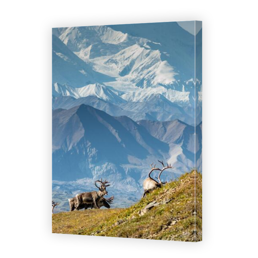 Thumbnail for Canvas - Mirror Image Canvas Wrap