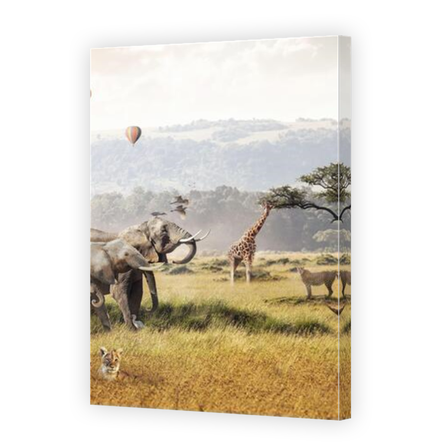 Thumbnail for Canvas - Mirror Image Canvas Wrap