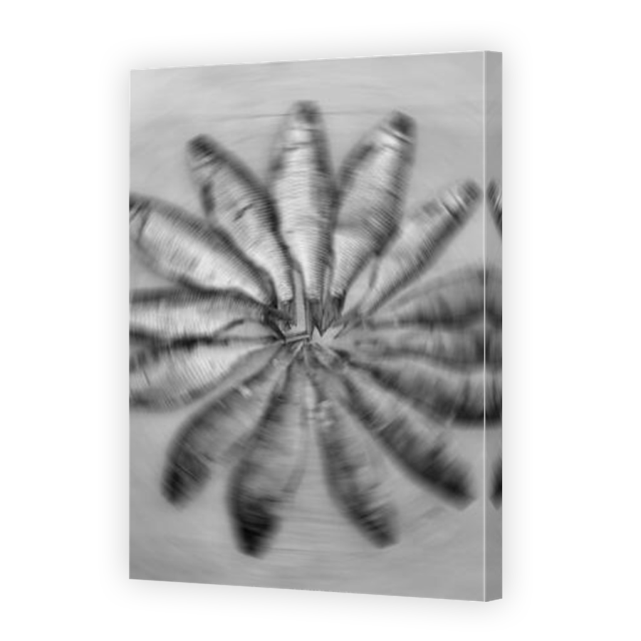 Thumbnail for Canvas - Mirror Image Canvas Wrap