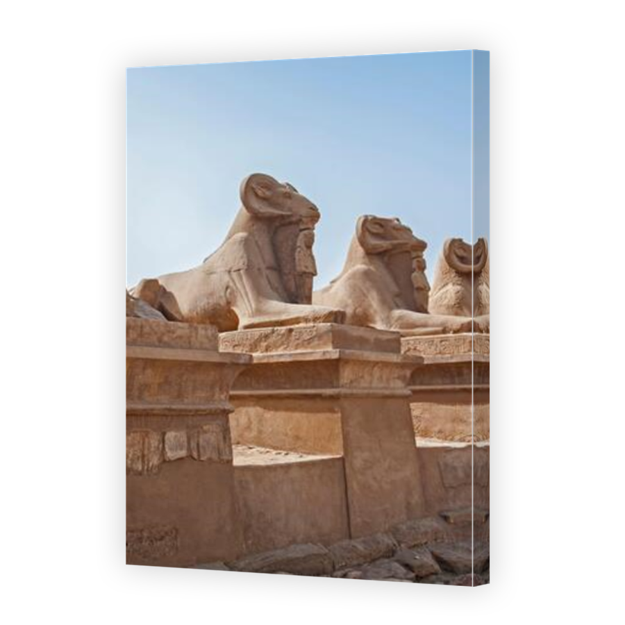 Thumbnail for Canvas - Mirror Image Canvas Wrap