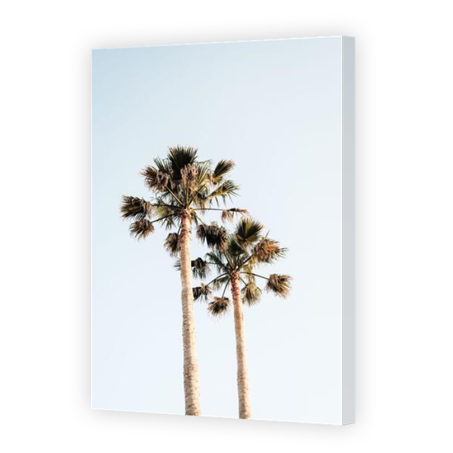 Thumbnail for Canvas - Mirror Image Canvas Wrap