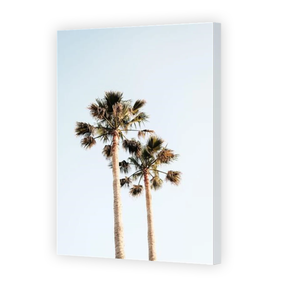 Thumbnail for Canvas - Mirror Image Canvas Wrap