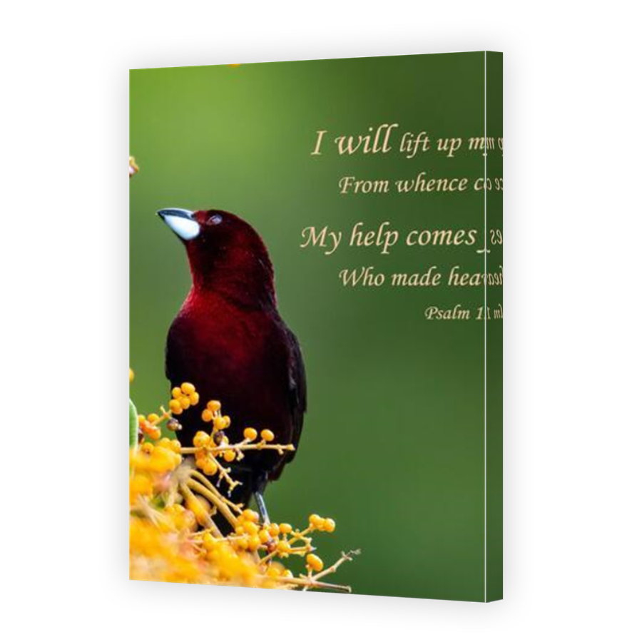 Thumbnail for Canvas - Mirror Image Canvas Wrap