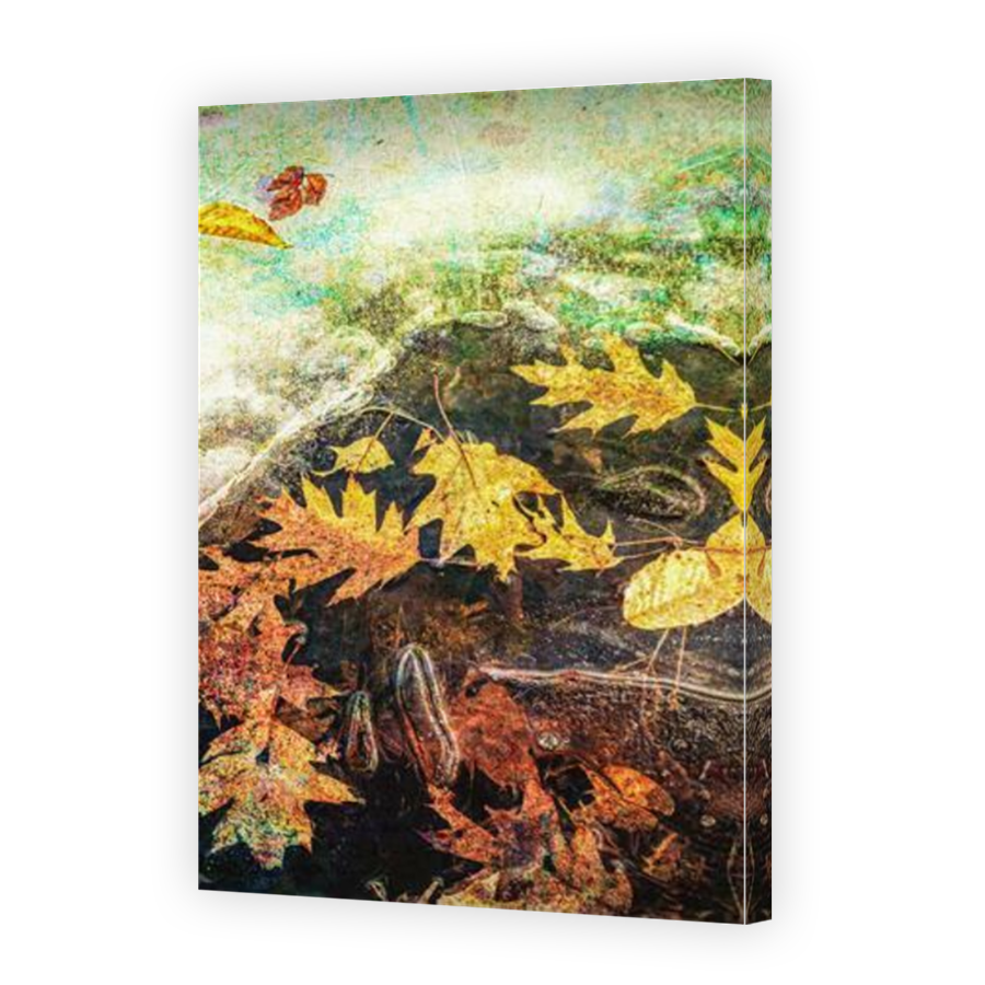 Thumbnail for Canvas - Mirror Image Canvas Wrap