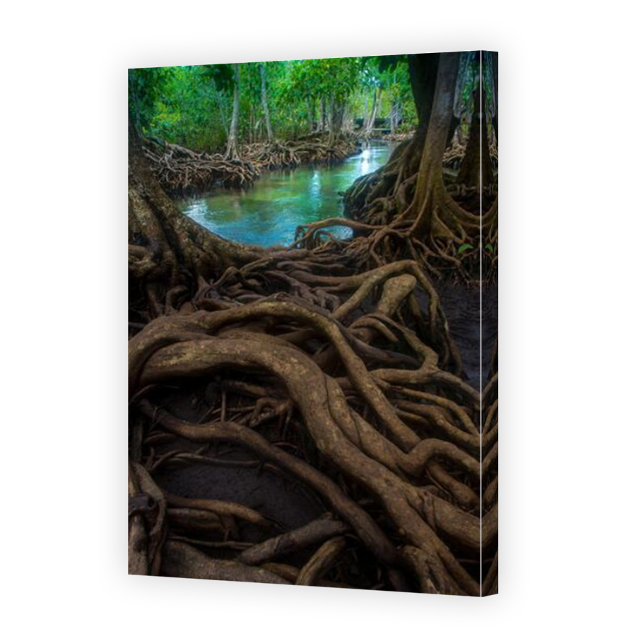 Thumbnail for Canvas - Mirror Image Canvas Wrap