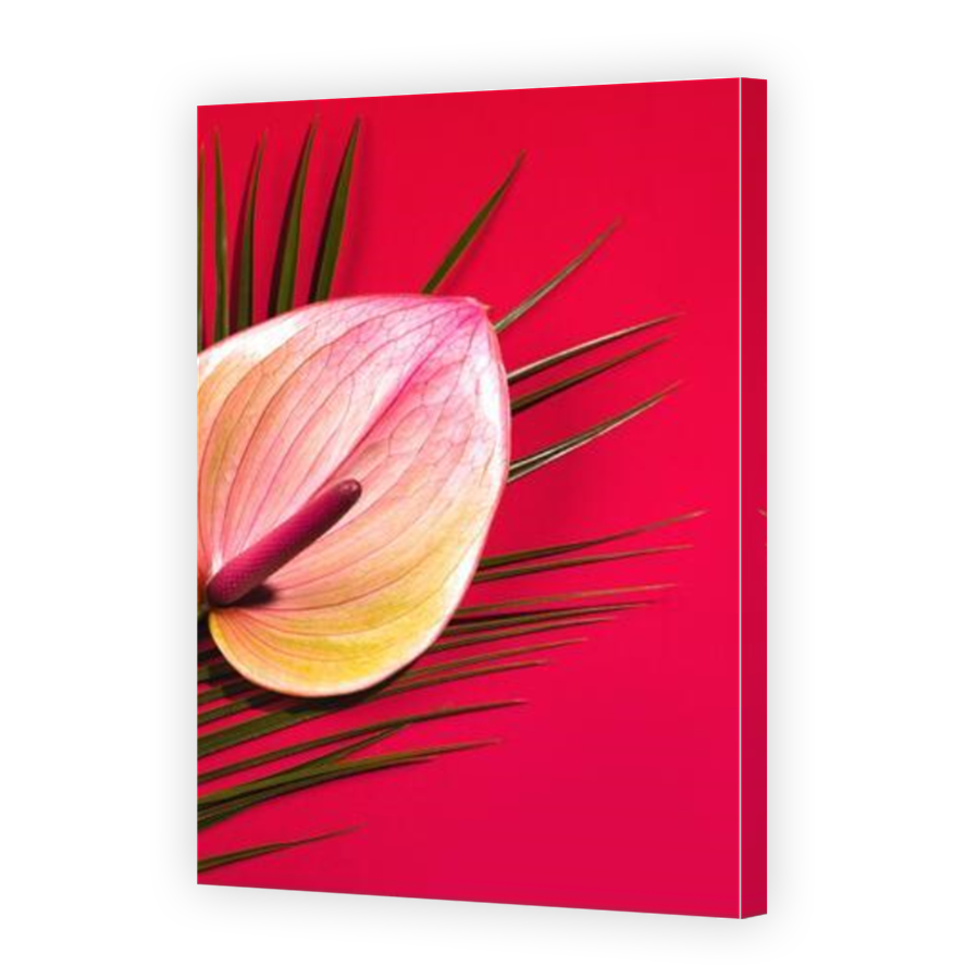 Thumbnail for Canvas - Mirror Image Canvas Wrap