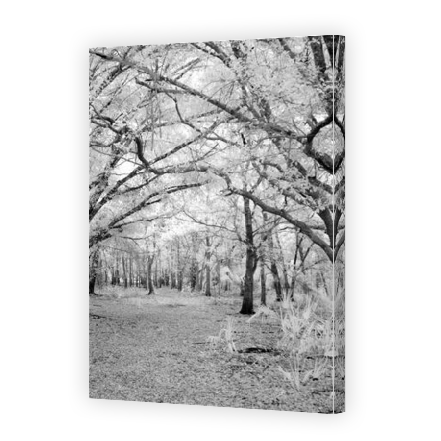 Thumbnail for Canvas - Mirror Image Canvas Wrap