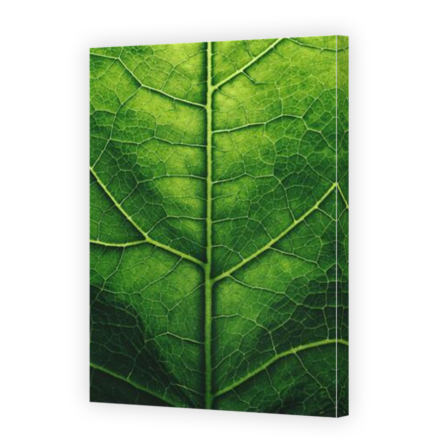 Thumbnail for Canvas - Mirror Image Canvas Wrap