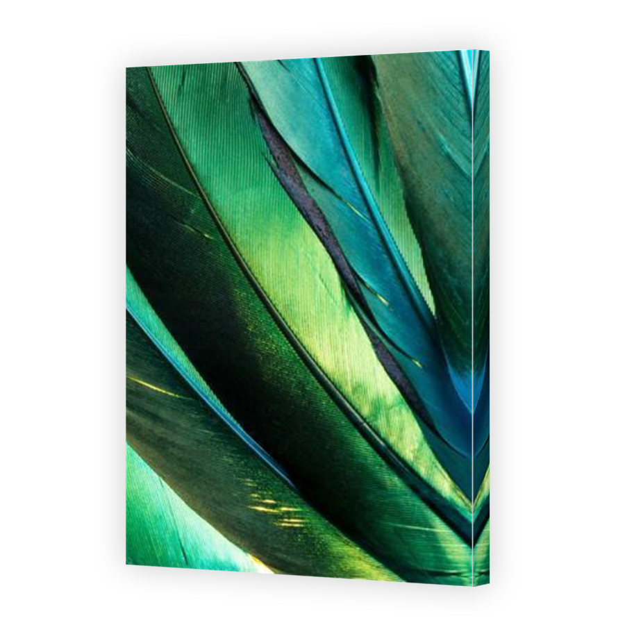 Thumbnail for Canvas - Mirror Image Canvas Wrap