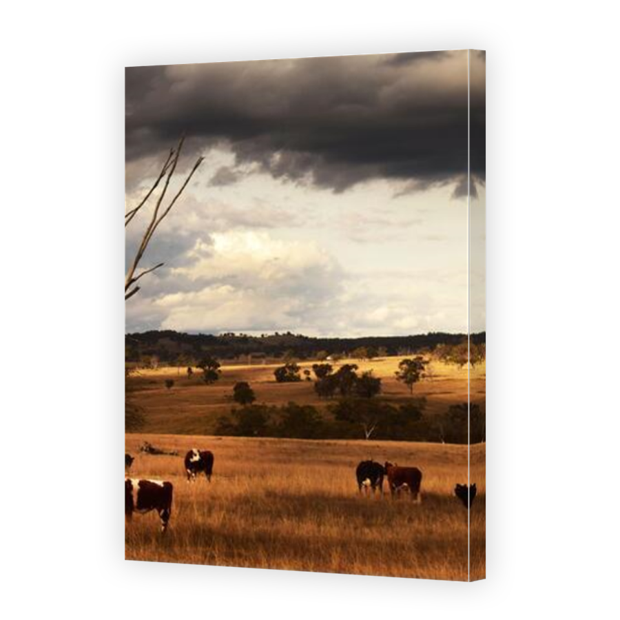 Thumbnail for Canvas - Mirror Image Canvas Wrap