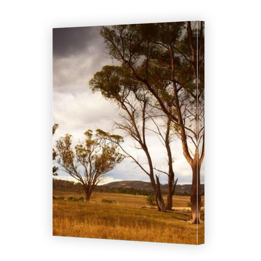 Thumbnail for Canvas - Mirror Image Canvas Wrap