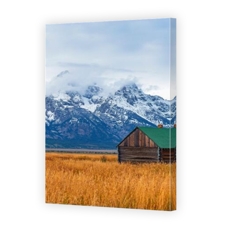 Thumbnail for Canvas - Mirror Image Canvas Wrap