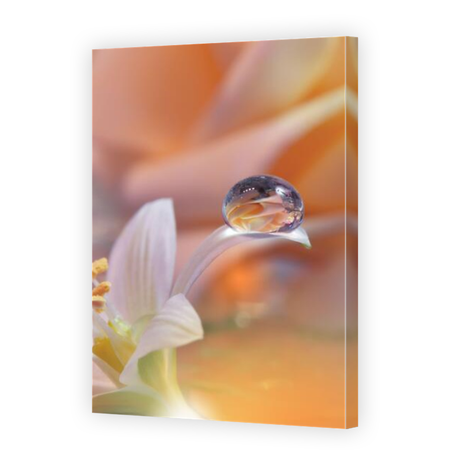 Thumbnail for Canvas - Mirror Image Canvas Wrap