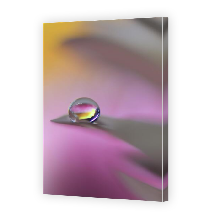 Thumbnail for Canvas - Mirror Image Canvas Wrap