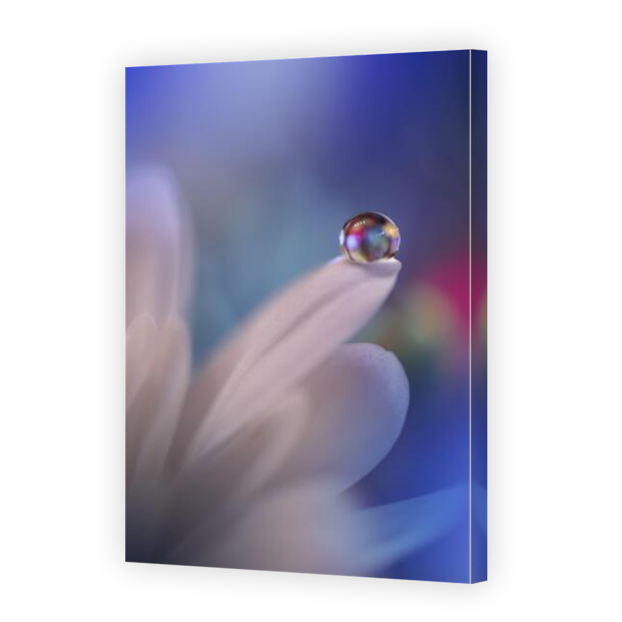 Thumbnail for Canvas - Mirror Image Canvas Wrap