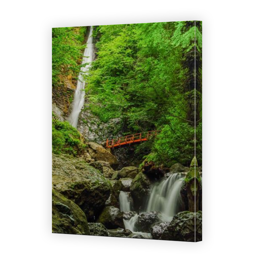 Thumbnail for Canvas - Mirror Image Canvas Wrap