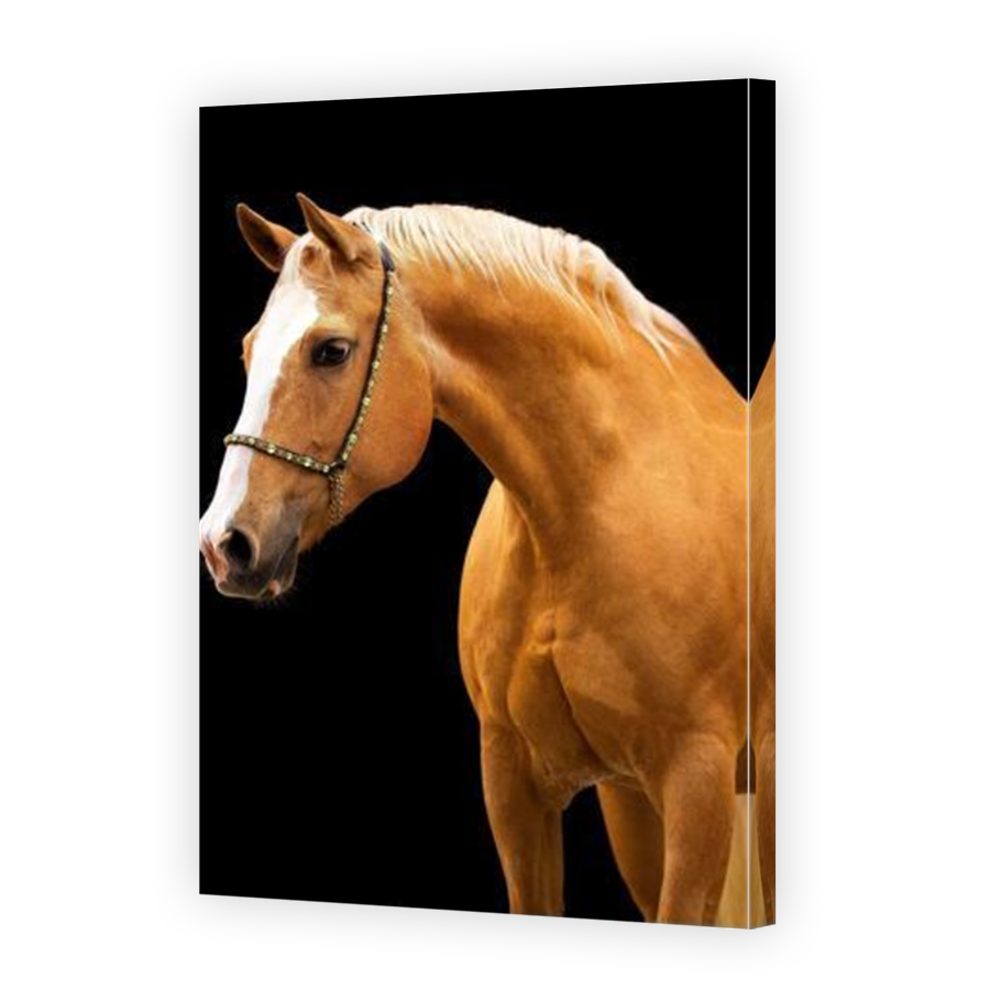 Thumbnail for Canvas - Mirror Image Canvas Wrap