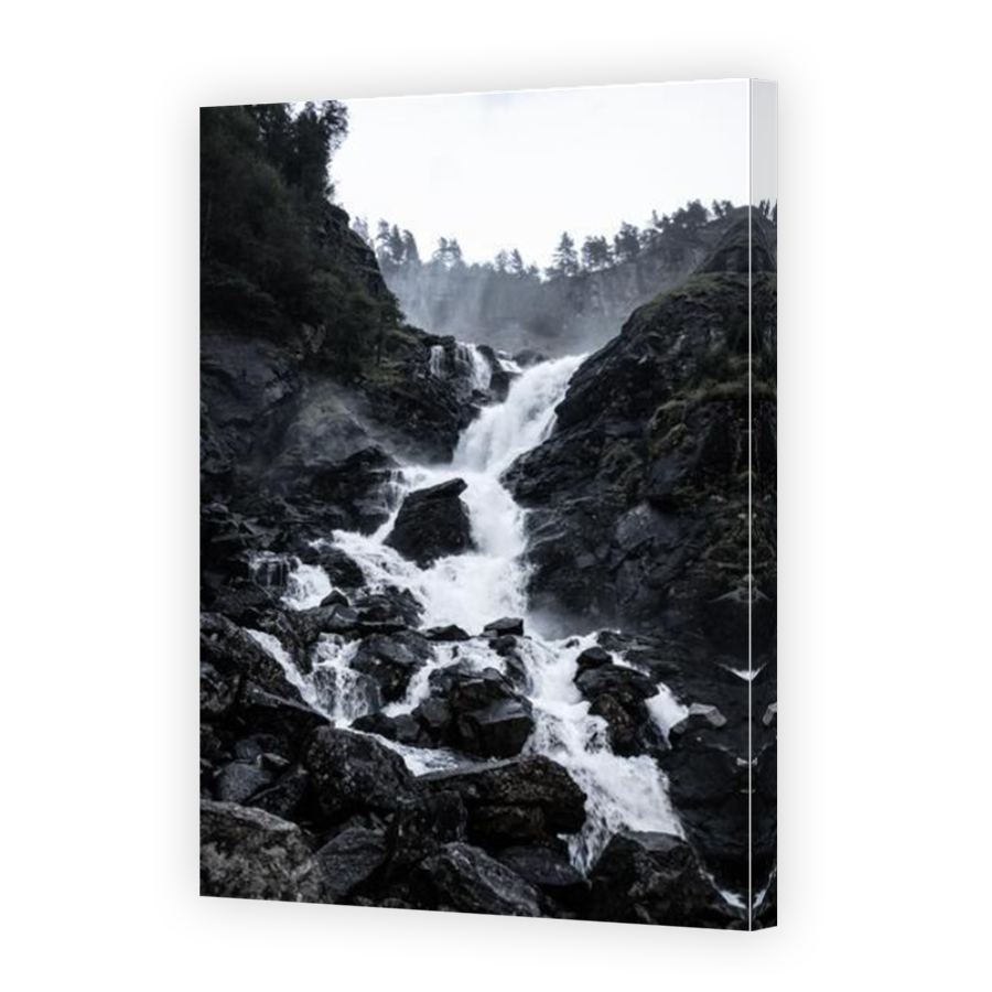 Thumbnail for Canvas - Mirror Image Canvas Wrap
