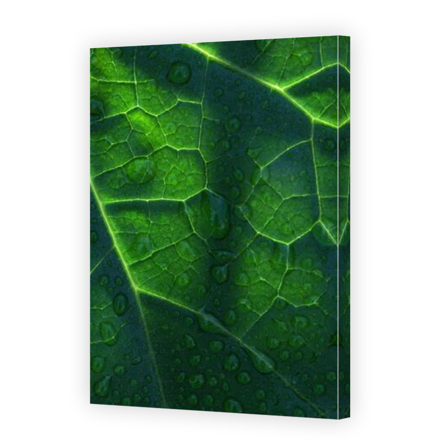 Thumbnail for Canvas - Mirror Image Canvas Wrap
