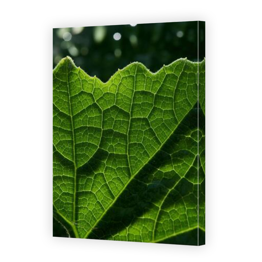 Thumbnail for Canvas - Mirror Image Canvas Wrap