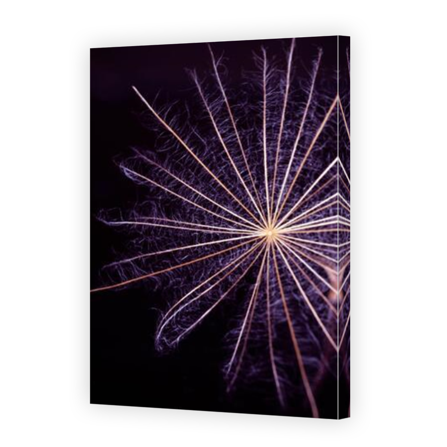 Thumbnail for Canvas - Mirror Image Canvas Wrap