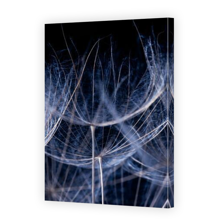 Thumbnail for Canvas - Mirror Image Canvas Wrap