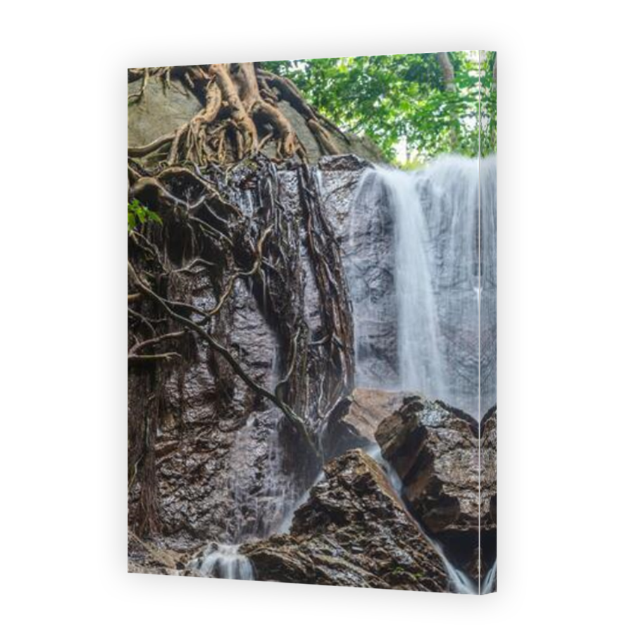 Thumbnail for Canvas - Mirror Image Canvas Wrap