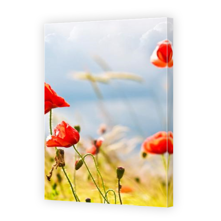 Thumbnail for Canvas - Mirror Image Canvas Wrap