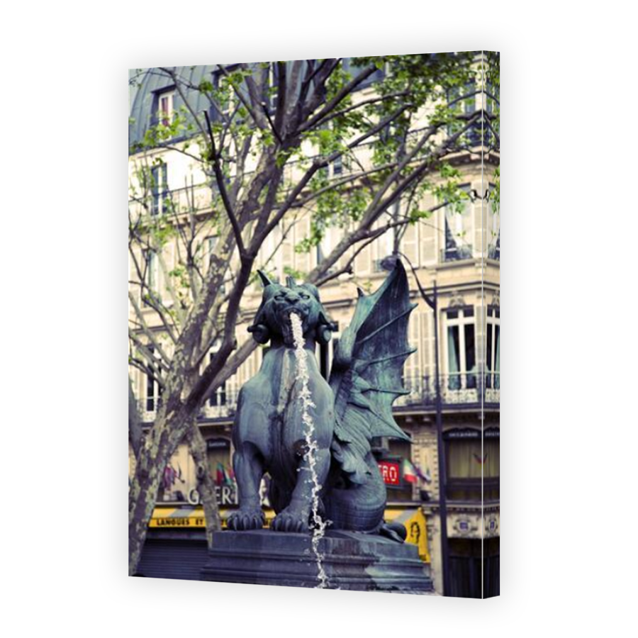 Thumbnail for Canvas - Mirror Image Canvas Wrap
